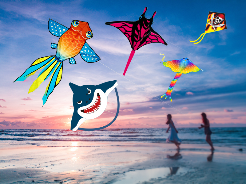 High quality cotton fabric rolls displayed in organized warehouse setting with natural lighting