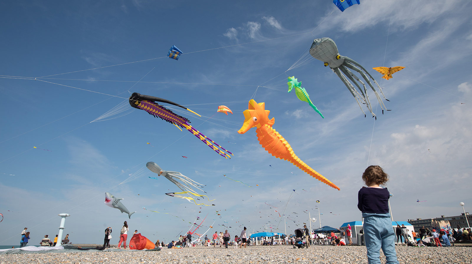 Modern textile factory building with sustainable architecture and green technology elements